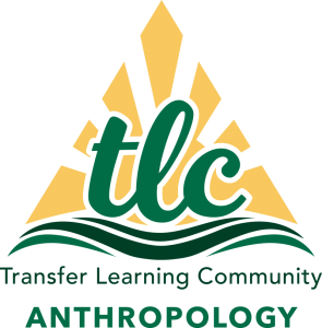 Transfer Learning Community Anthropology