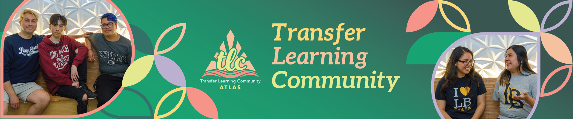 Transfer Learning Community