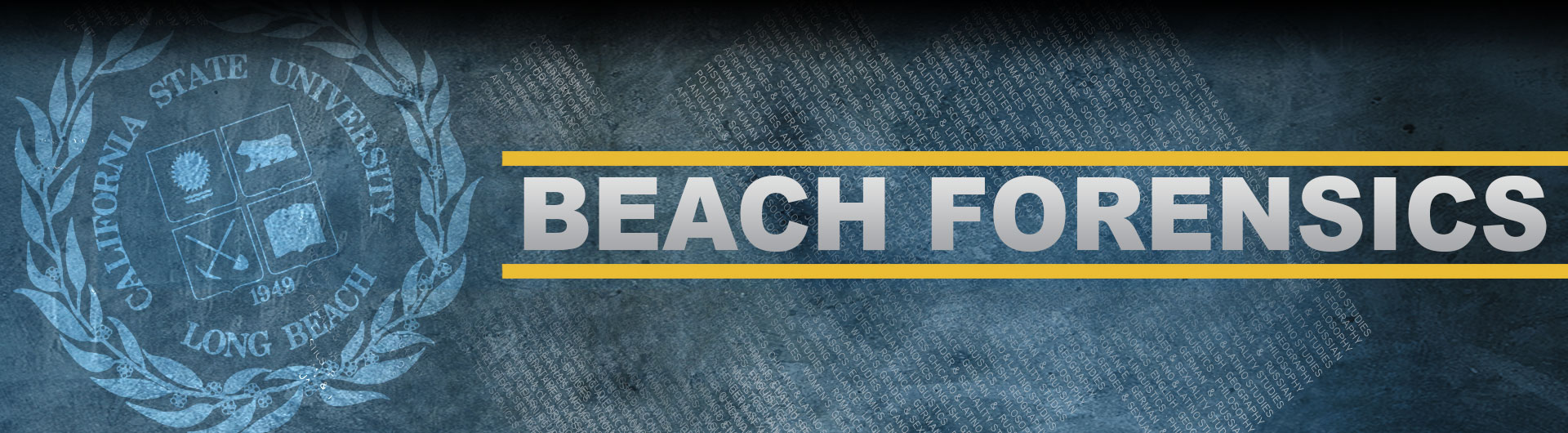 Beach Forensics
