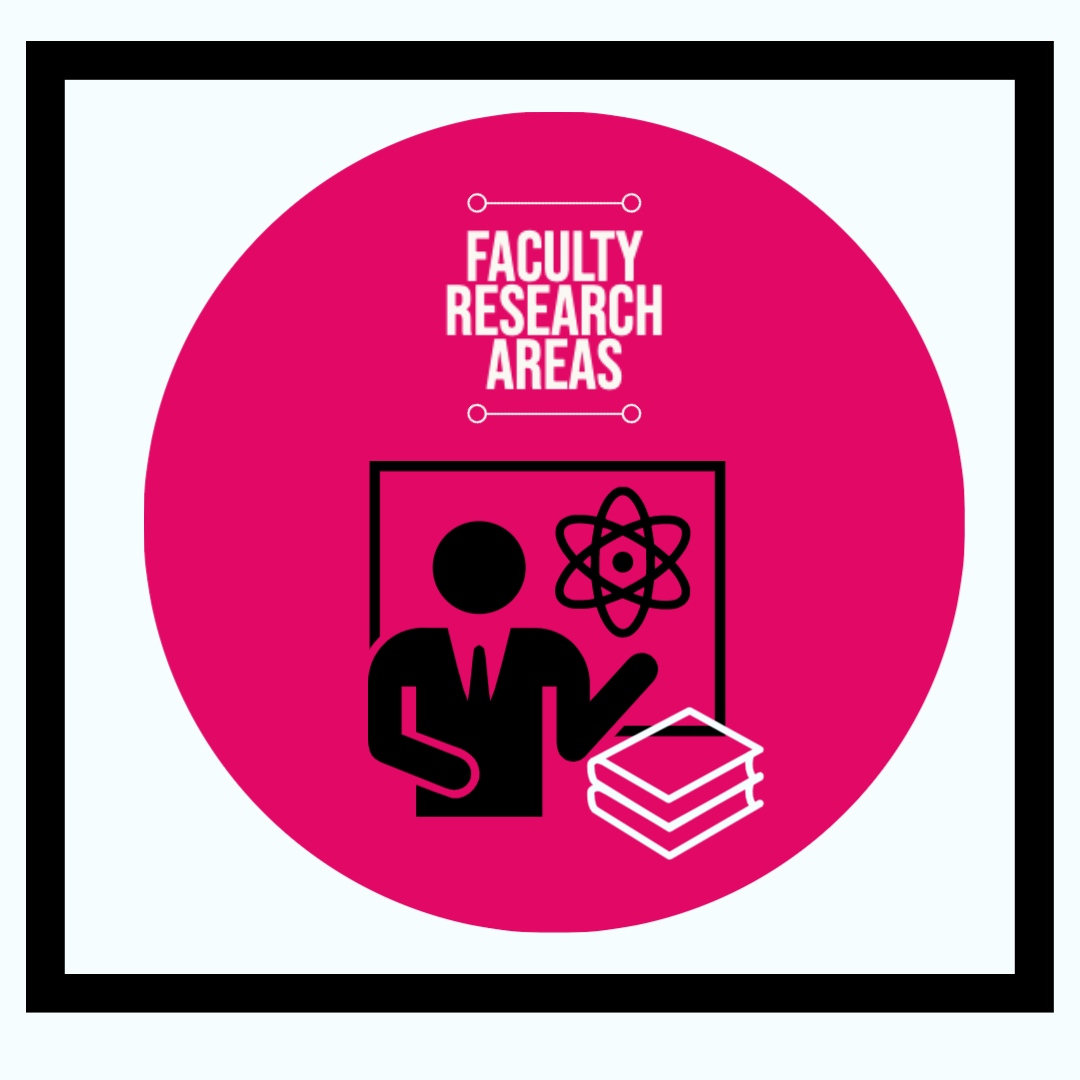 Faculty Research Areas