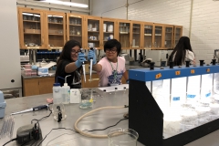 EGI Interns adding water into the flask with their pipettes